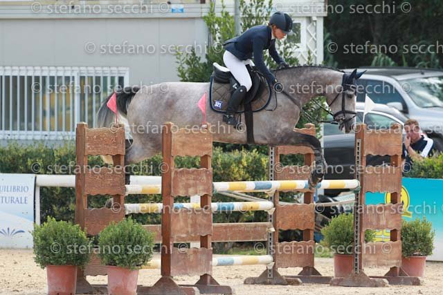 FAVALLI_INDORA_GIO CAV 2011_SS3_8397.jpg